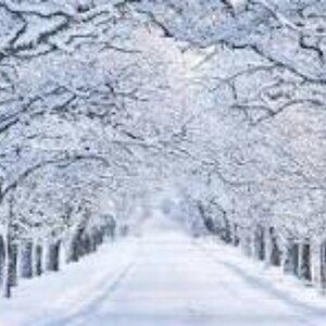 Meet your Posher, CC